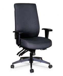 Alera ALEHPM4101 Wrigley Series 275 Lbs. Capacity High Performance High-Back Multifunction Task Chair - Black